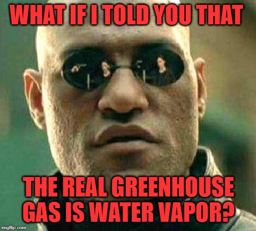 What if i told you | WHAT IF I TOLD YOU THAT THE REAL GREENHOUSE GAS IS WATER VAPOR? | image tagged in what if i told you | made w/ Imgflip meme maker