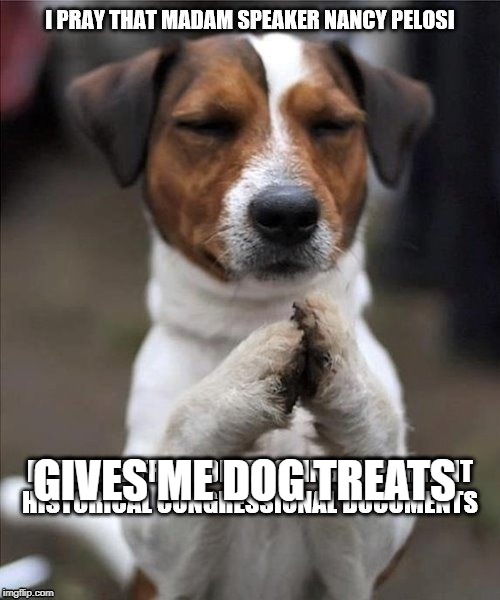 GIVES ME DOG TREATS | made w/ Imgflip meme maker