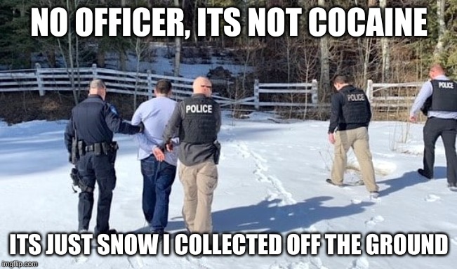 NO OFFICER, ITS NOT COCAINE; ITS JUST SNOW I COLLECTED OFF THE GROUND | made w/ Imgflip meme maker