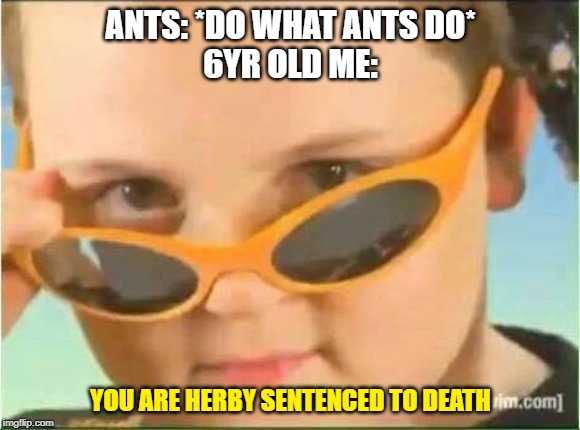 cool kid with orange sunglasses | ANTS: *DO WHAT ANTS DO*



6YR OLD ME:; YOU ARE HERBY SENTENCED TO DEATH | image tagged in cool kid with orange sunglasses | made w/ Imgflip meme maker