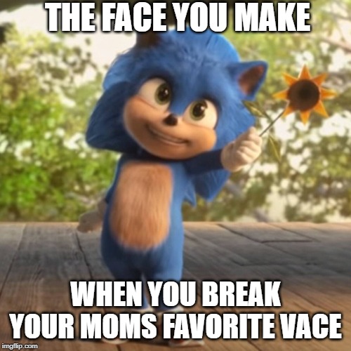 baby sonic | THE FACE YOU MAKE; WHEN YOU BREAK YOUR MOMS FAVORITE VACE | image tagged in baby sonic | made w/ Imgflip meme maker