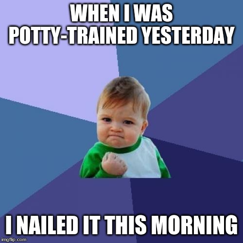 Success Kid | WHEN I WAS POTTY-TRAINED YESTERDAY; I NAILED IT THIS MORNING | image tagged in memes,success kid | made w/ Imgflip meme maker