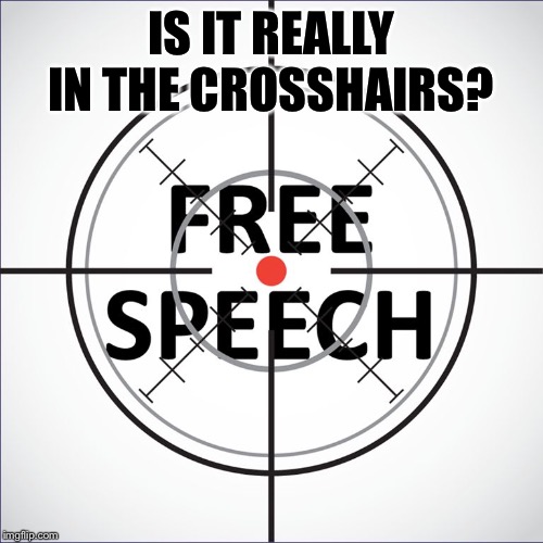 Another thing I have to keep explaining. Expressing disgust at bigotry is not equivalent to suppressing speech. | IS IT REALLY IN THE CROSSHAIRS? | image tagged in free speech,bigotry,political correctness,opinion,first amendment,freedom of speech | made w/ Imgflip meme maker