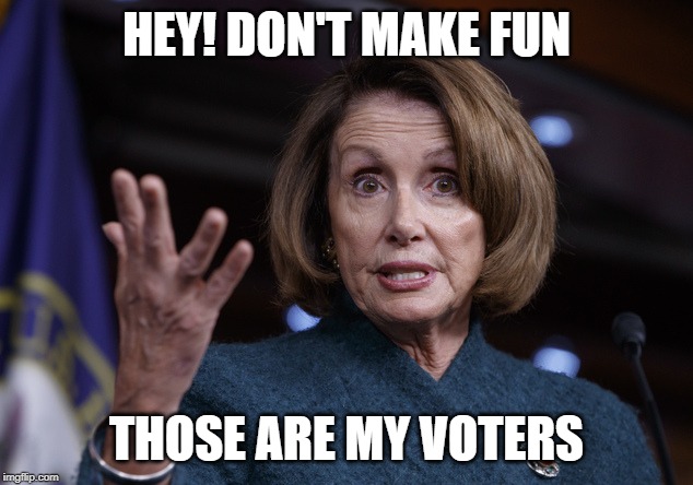 Good old Nancy Pelosi | HEY! DON'T MAKE FUN THOSE ARE MY VOTERS | image tagged in good old nancy pelosi | made w/ Imgflip meme maker