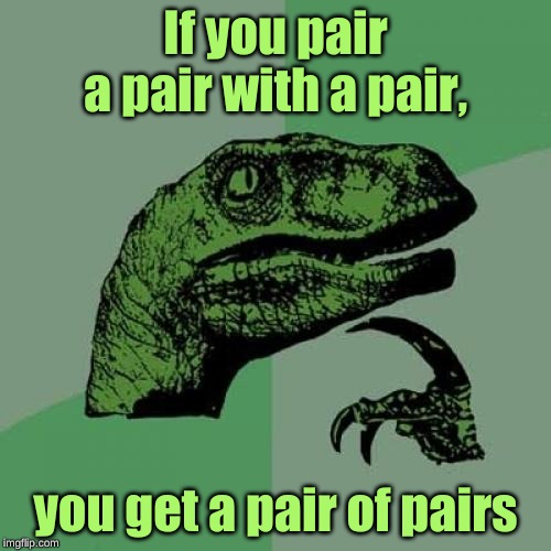 Kinda simple but still came up with the idea myself | If you pair a pair with a pair, you get a pair of pairs | image tagged in memes,philosoraptor,simple,funny,deep,classic | made w/ Imgflip meme maker