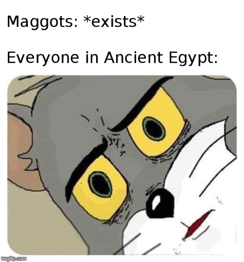 Ancient Egypt vs Maggots | image tagged in memes,unsettled tom,maggots,decomposition,ancient egypt,mummy | made w/ Imgflip meme maker
