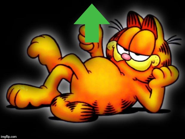 garfield thumbs up | image tagged in garfield thumbs up | made w/ Imgflip meme maker