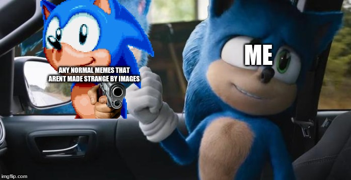 blonic | ME; ANY NORMAL MEMES THAT ARENT MADE STRANGE BY IMAGES | image tagged in sonic pointing at sonic | made w/ Imgflip meme maker