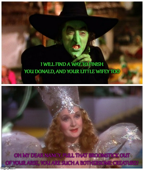 Good witch/bad witch | I WILL FIND A WAY TO FINISH YOU DONALD, AND YOUR LITTLE WIFEY TOO; OH MY DEAR NANCY, PULL THAT BROOMSTICK OUT OF YOUR ARSE, YOU ARE SUCH A BOTHERSOME CREATURE! | image tagged in good witch/bad witch | made w/ Imgflip meme maker