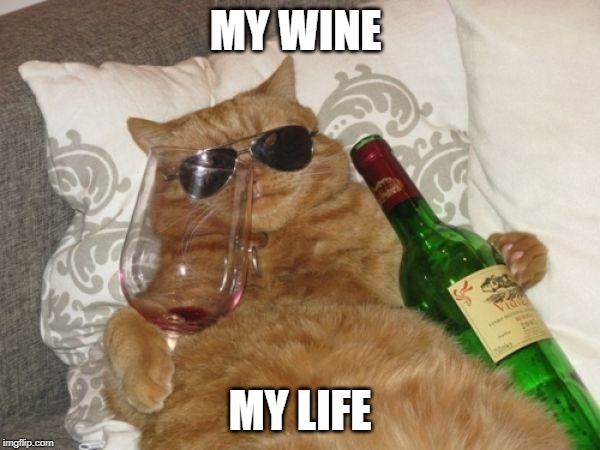Wine Cat Birthday | MY WINE; MY LIFE | image tagged in wine cat birthday | made w/ Imgflip meme maker