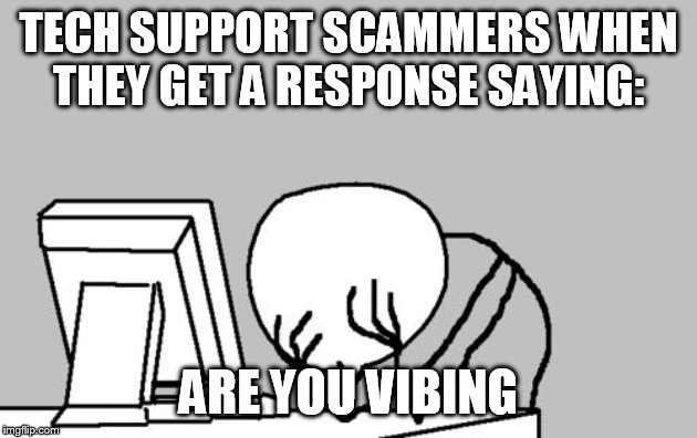 Computer Guy Facepalm Meme | TECH SUPPORT SCAMMERS WHEN THEY GET A RESPONSE SAYING:; ARE YOU VIBING | image tagged in memes,computer guy facepalm | made w/ Imgflip meme maker