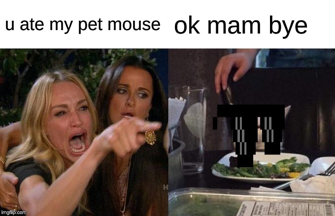 Woman Yelling At Cat | u ate my pet mouse; ok mam bye | image tagged in memes,woman yelling at cat | made w/ Imgflip meme maker