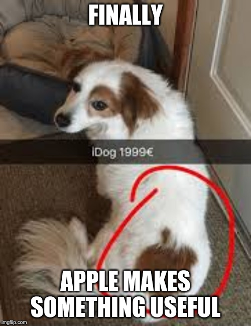 idog | FINALLY; APPLE MAKES SOMETHING USEFUL | image tagged in dog,apple,animal | made w/ Imgflip meme maker