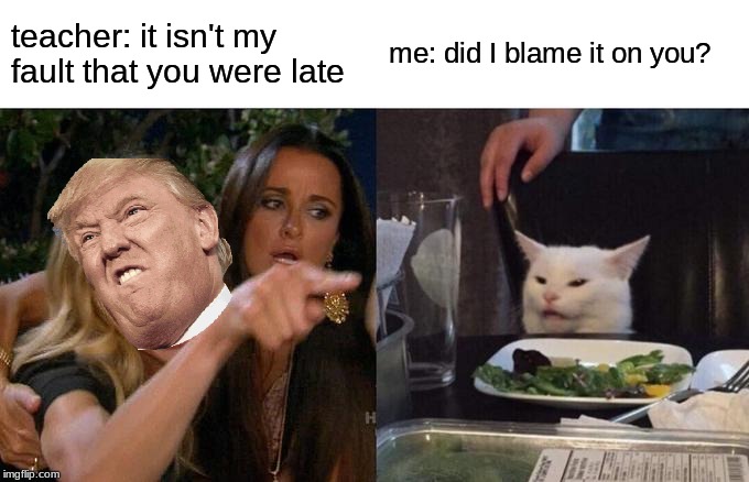 Woman Yelling At Cat | teacher: it isn't my fault that you were late; me: did I blame it on you? | image tagged in memes,woman yelling at cat,donald trump,teacher,student,cats | made w/ Imgflip meme maker