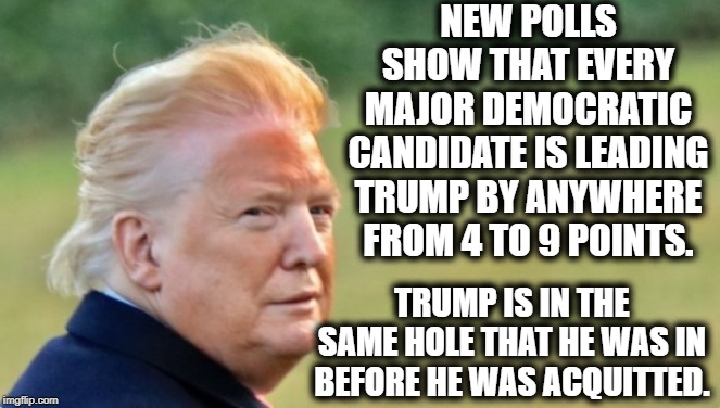 Real Americans Know Better Than Trump Supporters | NEW POLLS SHOW THAT EVERY MAJOR DEMOCRATIC CANDIDATE IS LEADING TRUMP BY ANYWHERE FROM 4 TO 9 POINTS. TRUMP IS IN THE SAME HOLE THAT HE WAS IN BEFORE HE WAS ACQUITTED. | image tagged in donald trump,democrats,election,impeach trump,traitor,polls | made w/ Imgflip meme maker