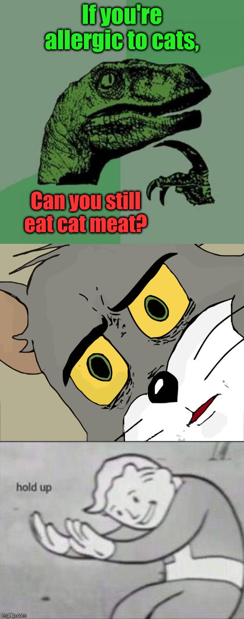 A revised version of the last one | If you're allergic to cats, Can you still eat cat meat? | image tagged in memes,philosoraptor,fallout hold up,unsettled tom,uncomfortable,update | made w/ Imgflip meme maker