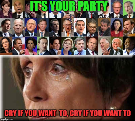 cry if you want to | IT'S YOUR PARTY; CRY IF YOU WANT  TO, CRY IF YOU WANT TO | image tagged in nancy pelosi | made w/ Imgflip meme maker