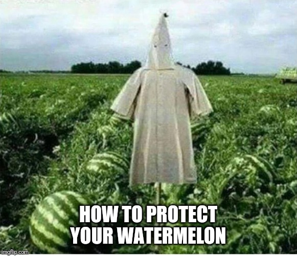 HOW TO PROTECT YOUR WATERMELON | image tagged in watermelon,kkk,genius | made w/ Imgflip meme maker