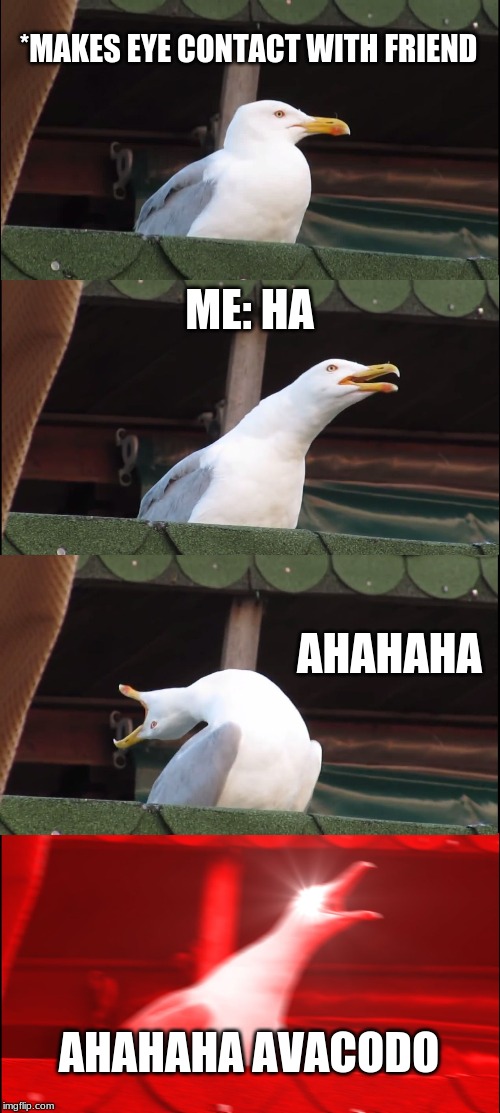 Inhaling Seagull Meme | *MAKES EYE CONTACT WITH FRIEND; ME: HA; AHAHAHA; AHAHAHA AVACODO | image tagged in memes,inhaling seagull | made w/ Imgflip meme maker