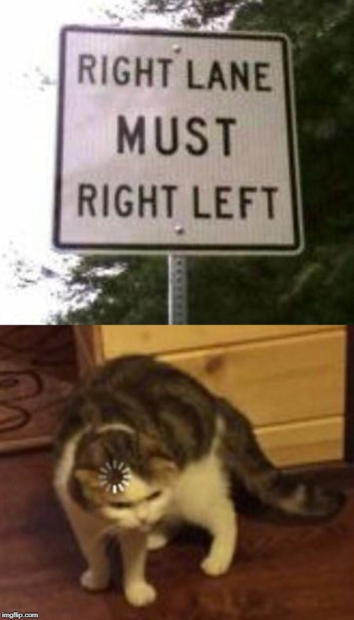 image tagged in loading cat,stupid signs,funny signs,right,left,what now | made w/ Imgflip meme maker