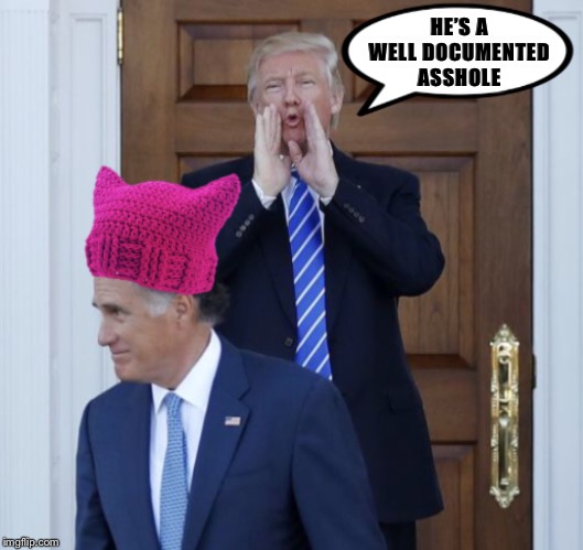 Mitt hat | HE’S A WELL DOCUMENTED ASSHOLE | image tagged in mitt hat | made w/ Imgflip meme maker