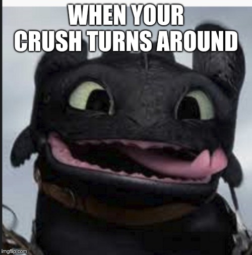 hungry toothless | WHEN YOUR CRUSH TURNS AROUND | image tagged in hungry toothless | made w/ Imgflip meme maker