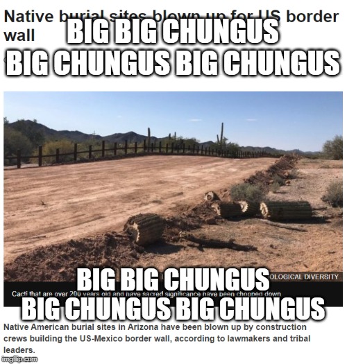 donald trump is based af :DDD | BIG BIG CHUNGUS BIG CHUNGUS BIG CHUNGUS; BIG BIG CHUNGUS BIG CHUNGUS BIG CHUNGUS | image tagged in big chungus,border wall,doanld trump,donald trump is based af guys | made w/ Imgflip meme maker