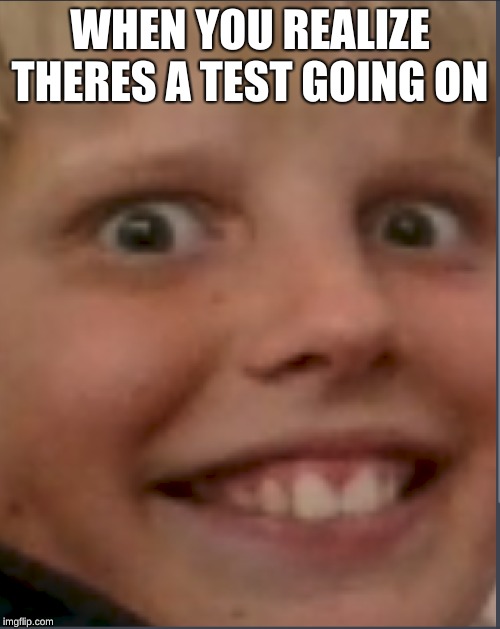 henrys death stare | WHEN YOU REALIZE THERES A TEST GOING ON | image tagged in henrys death stare | made w/ Imgflip meme maker