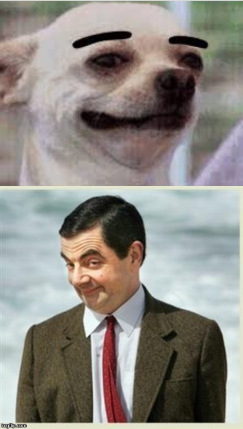 Coincidence? | image tagged in mr bean smirk,thick eyebrows dog | made w/ Imgflip meme maker