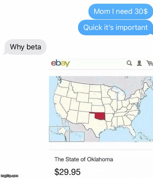 I need 30$ ! | image tagged in memes,funny,ebay,oklahoma,money,for sale | made w/ Imgflip meme maker