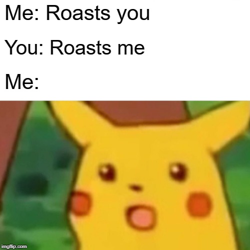 Surprised Pikachu Meme | Me: Roasts you; You: Roasts me; Me: | image tagged in memes,surprised pikachu | made w/ Imgflip meme maker