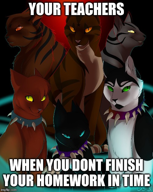 warrior cats are bad as I  | YOUR TEACHERS; WHEN YOU DONT FINISH YOUR HOMEWORK IN TIME | image tagged in warrior cats are bad as i | made w/ Imgflip meme maker