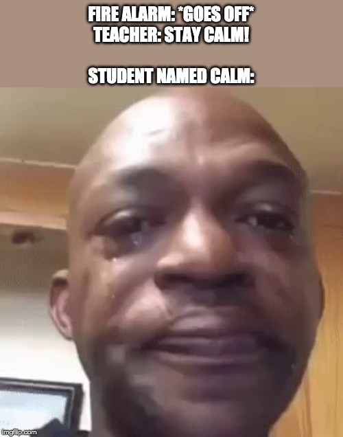 RIP Calm | FIRE ALARM: *GOES OFF*
TEACHER: STAY CALM!
 
STUDENT NAMED CALM: | image tagged in crying man | made w/ Imgflip meme maker