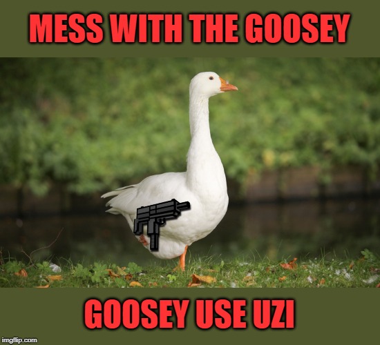 Dont mess with goosey | MESS WITH THE GOOSEY; GOOSEY USE UZI | image tagged in goosey,fun,funny,lol,gun,savage | made w/ Imgflip meme maker