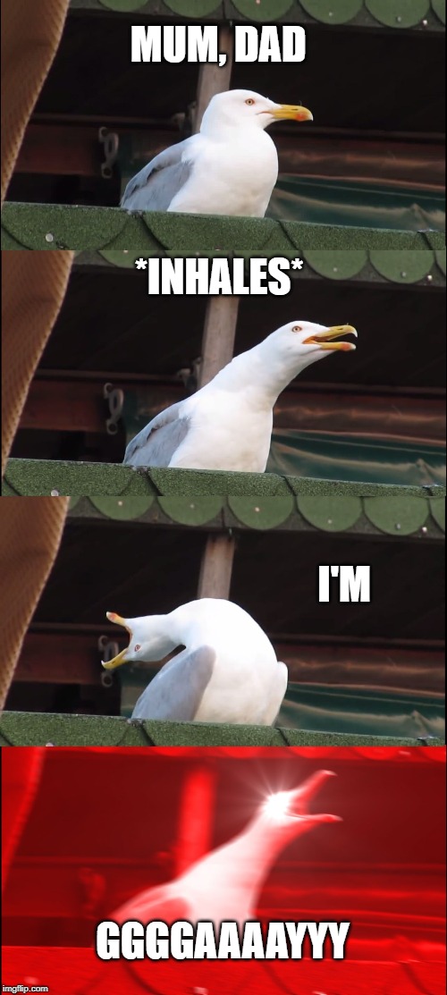 Inhaling Seagull | MUM, DAD; *INHALES*; I'M; GGGGAAAAYYY | image tagged in memes,inhaling seagull | made w/ Imgflip meme maker