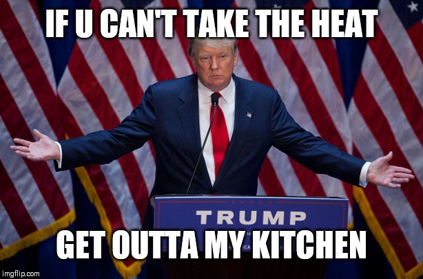 Donald Trump | IF U CAN'T TAKE THE HEAT; GET OUTTA MY KITCHEN | image tagged in donald trump | made w/ Imgflip meme maker