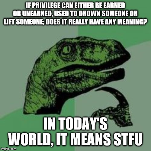 Time raptor  | IF PRIVILEGE CAN EITHER BE EARNED OR UNEARNED, USED TO DROWN SOMEONE OR LIFT SOMEONE; DOES IT REALLY HAVE ANY MEANING? IN TODAY'S WORLD, IT MEANS STFU | image tagged in time raptor | made w/ Imgflip meme maker