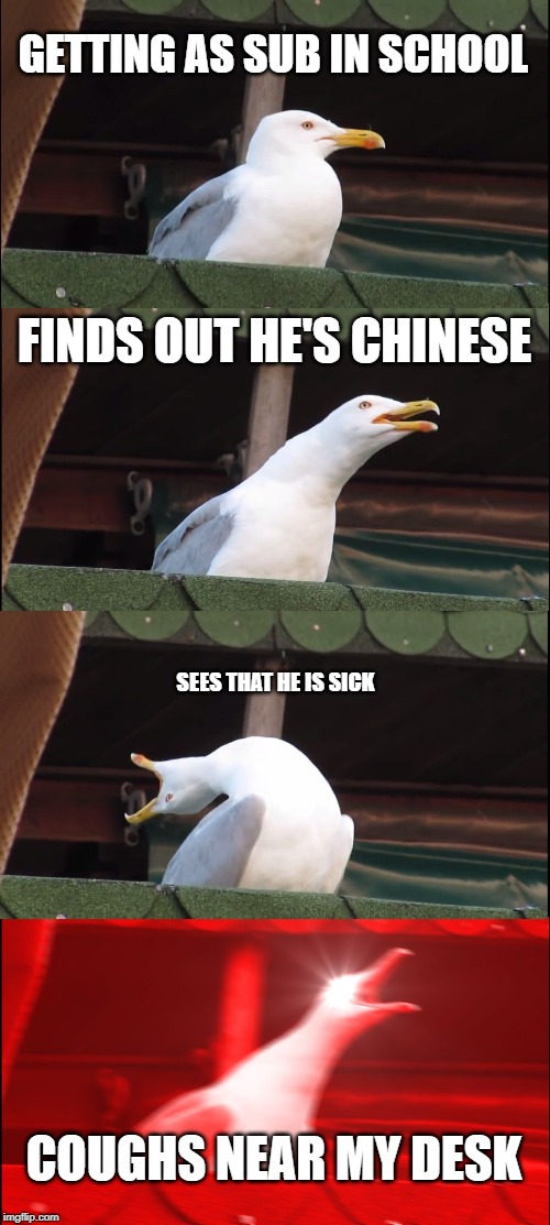 Inhaling Seagull Meme | GETTING AS SUB IN SCHOOL; FINDS OUT HE'S CHINESE; SEES THAT HE IS SICK; COUGHS NEAR MY DESK | image tagged in memes,inhaling seagull | made w/ Imgflip meme maker