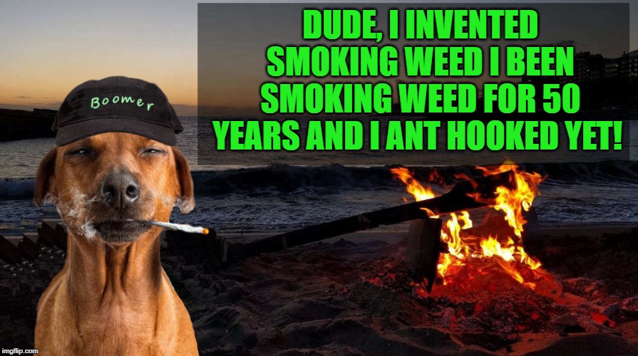 DUDE, I INVENTED SMOKING WEED I BEEN SMOKING WEED FOR 50 YEARS AND I ANT HOOKED YET! | image tagged in boomer says by kewlew | made w/ Imgflip meme maker