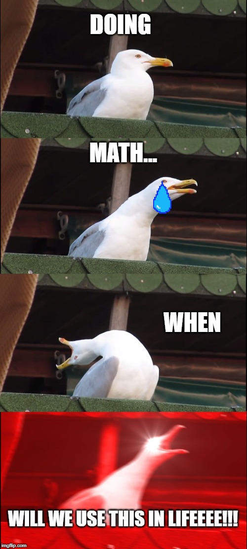 Inhaling Seagull Meme | DOING; MATH... WHEN; WILL WE USE THIS IN LIFEEEE!!! | image tagged in memes,inhaling seagull | made w/ Imgflip meme maker