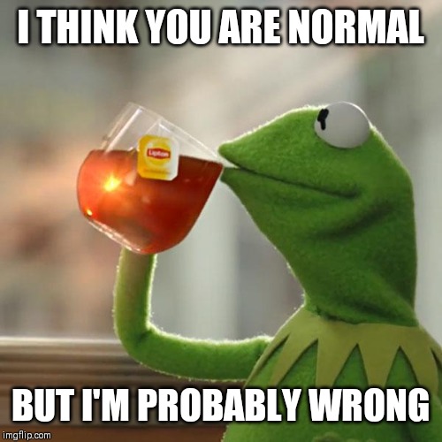 But That's None Of My Business | I THINK YOU ARE NORMAL; BUT I'M PROBABLY WRONG | image tagged in memes,but thats none of my business,kermit the frog | made w/ Imgflip meme maker