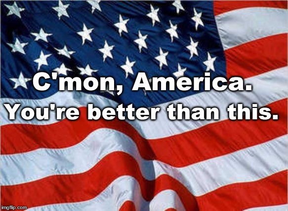 USA Flag | C'mon, America. You're better than this. | image tagged in usa flag | made w/ Imgflip meme maker