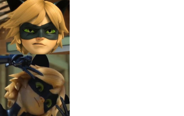 High Quality Chat Noir Drake Meme Blank Meme Template