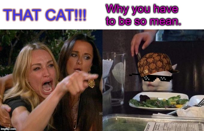 Woman Yelling At Cat | THAT CAT!!! Why you have to be so mean. | image tagged in memes,woman yelling at cat | made w/ Imgflip meme maker