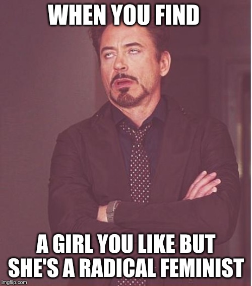 Face You Make Robert Downey Jr Meme | WHEN YOU FIND; A GIRL YOU LIKE BUT SHE'S A RADICAL FEMINIST | image tagged in memes,face you make robert downey jr | made w/ Imgflip meme maker