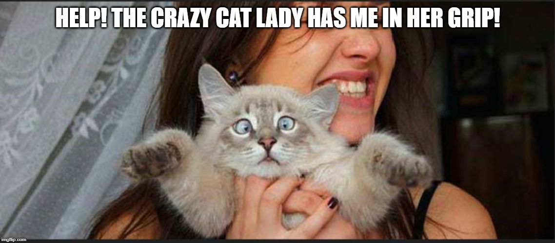 help! | HELP! THE CRAZY CAT LADY HAS ME IN HER GRIP! | image tagged in crazy cat lady,cat humor | made w/ Imgflip meme maker