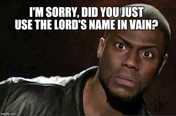 Kevin Hart | I'M SORRY, DID YOU JUST USE THE LORD'S NAME IN VAIN? | image tagged in memes,kevin hart | made w/ Imgflip meme maker