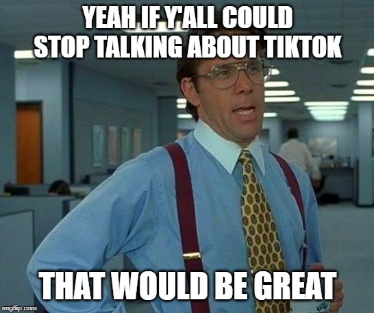 That Would Be Great Meme | YEAH IF Y'ALL COULD STOP TALKING ABOUT TIKTOK; THAT WOULD BE GREAT | image tagged in memes,that would be great | made w/ Imgflip meme maker