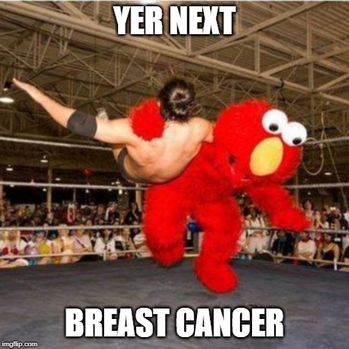 Elmo wrestling | YER NEXT; BREAST CANCER | image tagged in elmo wrestling | made w/ Imgflip meme maker