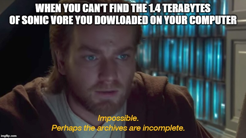 The archive's must be incomplete | WHEN YOU CAN'T FIND THE 1.4 TERABYTES OF SONIC VORE YOU DOWLOADED ON YOUR COMPUTER | image tagged in the archive's must be incomplete | made w/ Imgflip meme maker